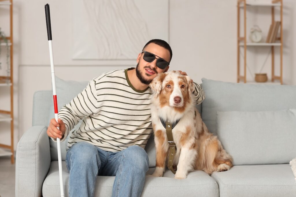 lyft-minnesota-disability-rights-service-animals-legalmed180